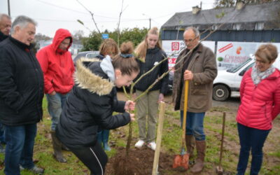 Plantation d’arbres sur la commune avec l’association Avalou Plabenneg : 28 pommiers à Scaven !